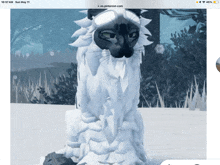 a computer screen shows a picture of a snow covered cat and the time is 10:37 am