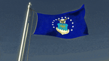 a blue flag with a coat of arms that says us air force
