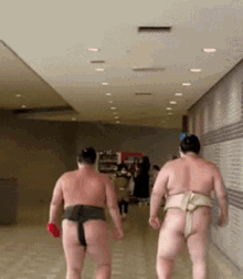 Sumo Wrestler Tsurugisho GIF - Sumo Wrestler Tsurugisho GIFs