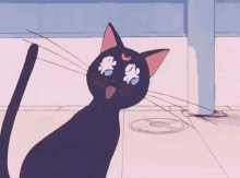 Excited Sailor Moon Kitty GIF - Sailormoon Excited Luna GIFs