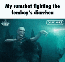 voldemort is fighting the femboy 's diarrhea in harry potter and the deathly hallows part ii .