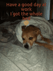 Dog Bed My Bed GIF