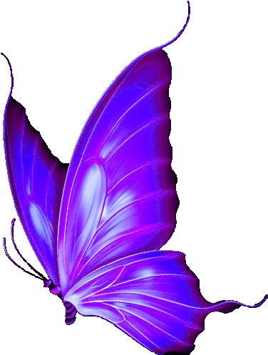 a purple butterfly with a white background is flying