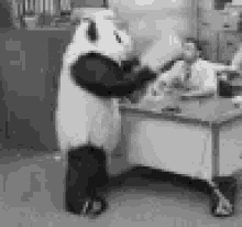 Angry Panda Work Panda GIF - Angry Panda Work Panda Computer Panda GIFs