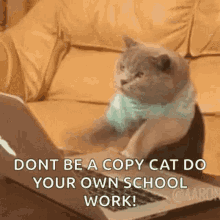Cat Typing GIF - Cat Typing When Chatroom Is Lit GIFs