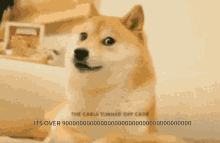 Yeet Doge GIF - Yeet Doge Its Over9000 GIFs