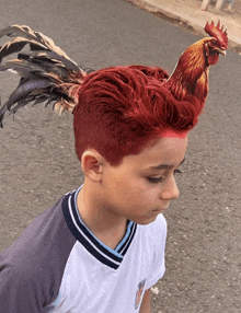 a young boy with red hair and a rooster on his head