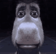 Donkey GIF - Donkey GIFs