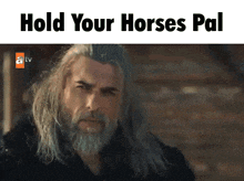 a man with long hair and a beard has the words hold your horses pal on the bottom