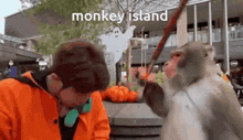 Hop On Sea Of Thieves Monkey Island GIF