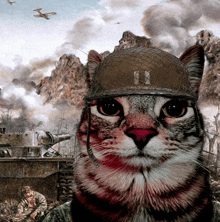 a painting of a cat wearing a military helmet with the number 11 on it