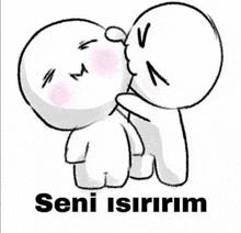 a cartoon of a person kissing another person with the words seni isirim written below them .