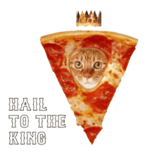 hail to the king pizza cat pizza cat king