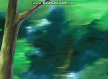 a blurred image of a forest with the website www.bandicam.com visible