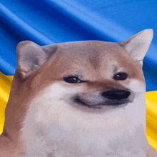 GIF