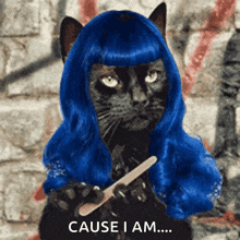 Cat Kitty GIF - Cat Kitty Wig GIFs