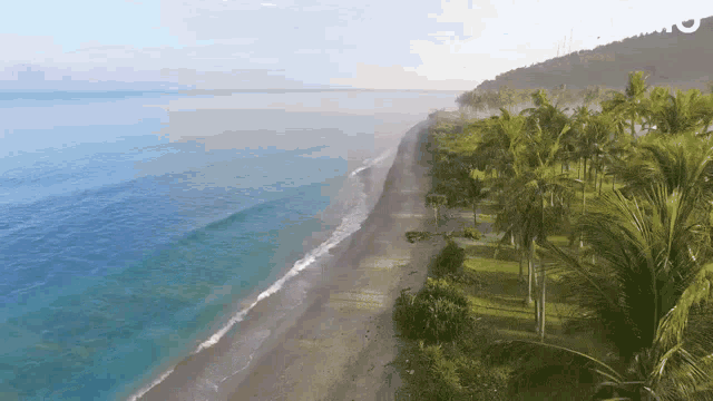 Beach Wave GIF - Beach Wave Ocean - Discover & Share GIFs