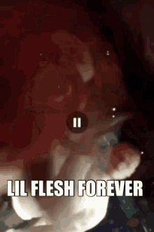 lil flesh forever