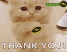 Banano Stom GIF - Banano Stom Thank You GIFs