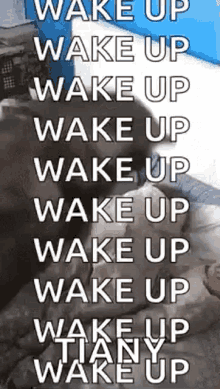Wake Up GIF - Wake Up Dog GIFs