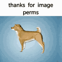Thanks For GIF - Thanks For Image GIFs