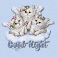 Good Night Kittens GIF - Good Night Kittens Sweet Dreams GIFs