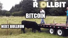 Rollbit Bitcoin GIF - Rollbit Bitcoin GIFs