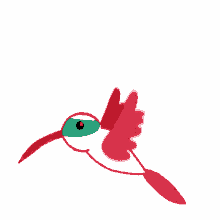 hummingbird humble
