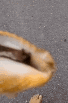 Snail Eyes GIF - Snail Eyes Looking Into Your Soul GIFs