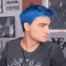 felipe neto vlogger felipe neto rodrigues vieira youtuber blue hair