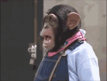 Karziepoo Monkey GIF - Karziepoo Monkey Shocked GIFs