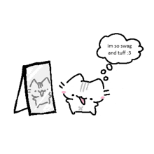 a cartoon cat is looking at itself in a mirror and says `` im so swag and tuff : 3 ''