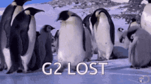 G2 Lost GIF - G2 Lost GIFs