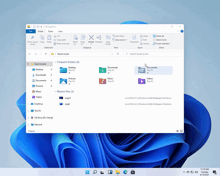 a computer screen shows a folder called downloads