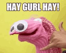 Hay Gurl Hay Hi GIF - Hay Gurl Hay Hi Hey GIFs
