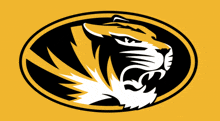Missouri Tigers Mizzou GIF