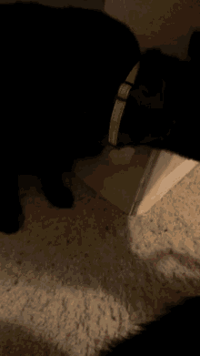 a black cat is laying on the floor next to a pink item