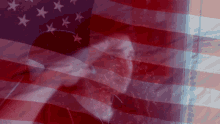 Iamnix Salute GIF - Iamnix Salute American Flag GIFs