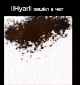 a picture of a pile of dirt on a white surface with a caption in a foreign language .