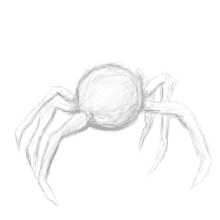 Spider Sketch GIF - Spider Sketch Spider Drawing GIFs