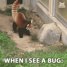 When I See A Bug Oops GIF - When I See A Bug Oops Uh Oh GIFs