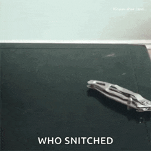 Cat Steal GIF - Cat Steal Pocket Knife GIFs
