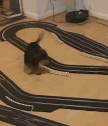 Dachshund Dog Train Scalectrix Car Puppy Pup GIF
