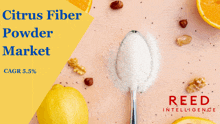 Citrus Fiber Powder Citrus Fiber Powder Market GIF - Citrus Fiber Powder Citrus Fiber Powder Market Citrus Fiber Powder Market Share GIFs