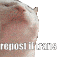 Vibecat Repost If Trans Sticker - Vibecat Repost If Trans Ruqqus Stickers