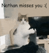 Cat Nathan GIF - Cat Nathan Miss You GIFs