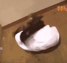 a black and white cat is laying on a wooden floor