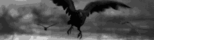 a black and white photo of a bird flying in the air with its wings spread .