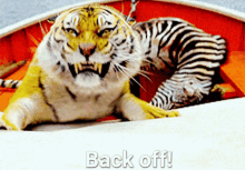 Back Off Move Back GIF - Back Off Move Back Tiger GIFs
