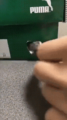 Hamster GIF - Hamster GIFs